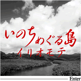 ̂߂铇@CIe
